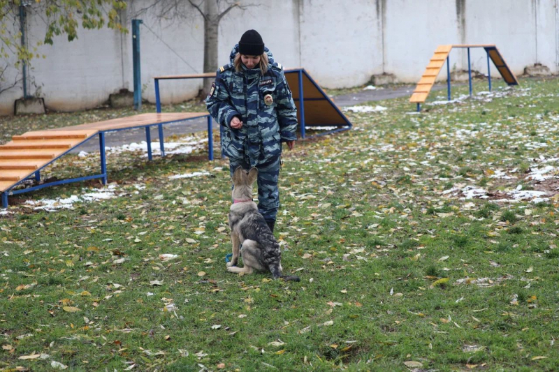 В кинологическом центре УВД по ЮЗАО состоялось открытие полосы препятствий для собак